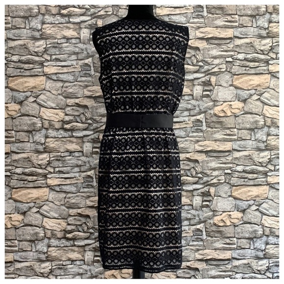 #85 NWT Max & Cleo Black Lace Pink Satin Casual Formal A-Line Cocktail Dress 10 - Picture 2 of 4